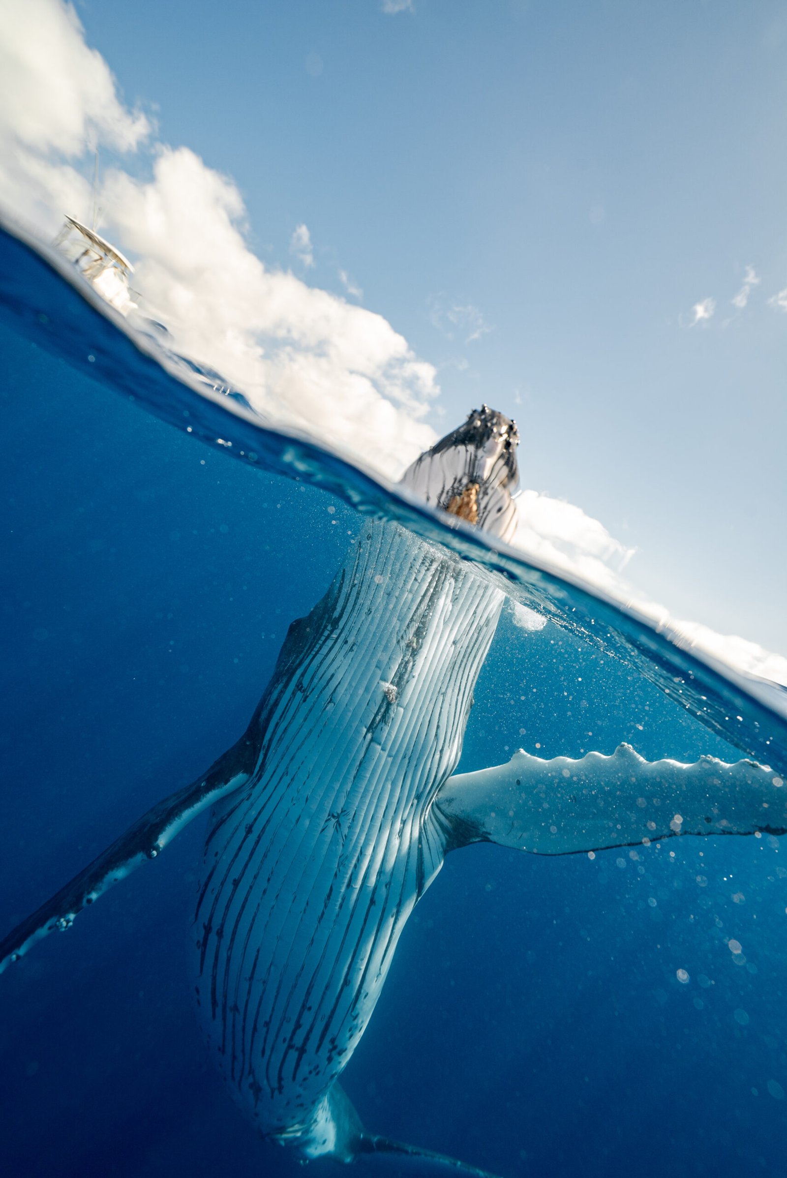 Are There Any Wireless Video Monitors Designed For Underwater Use?